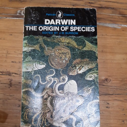 Darwin the origin - the,